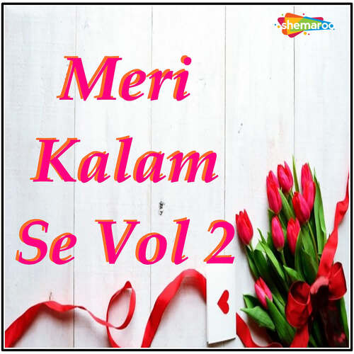 Meri Kalam Se Vol 2
