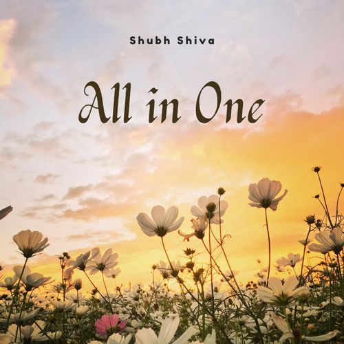 All in One