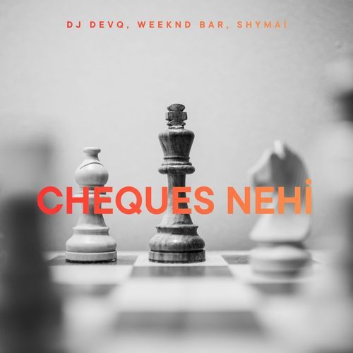 Cheques Nehi