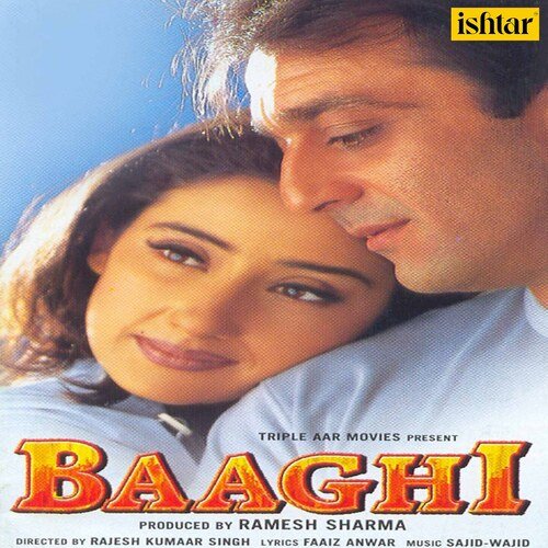 Baaghi (New)