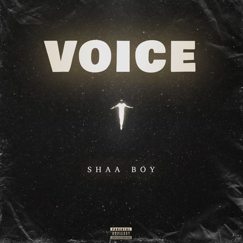 VOICE