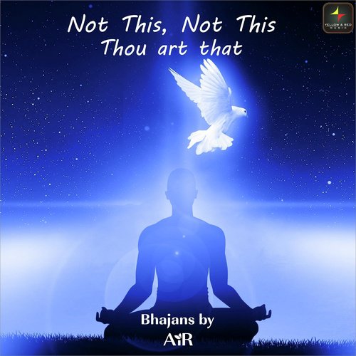 Not This, Not This Thou Art That