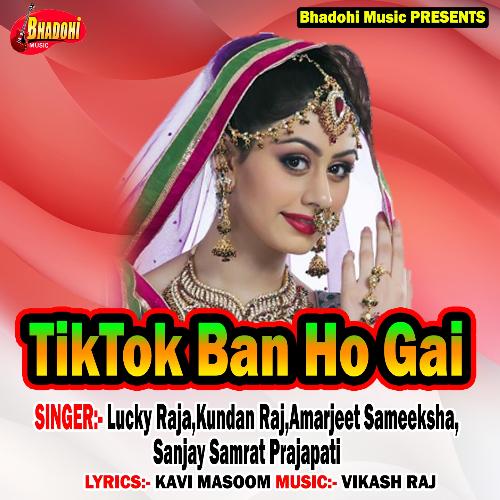 Tiktok Ban Ho Gai