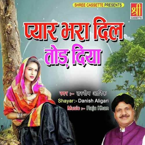 Pyar Bhara Dil Toda Diya