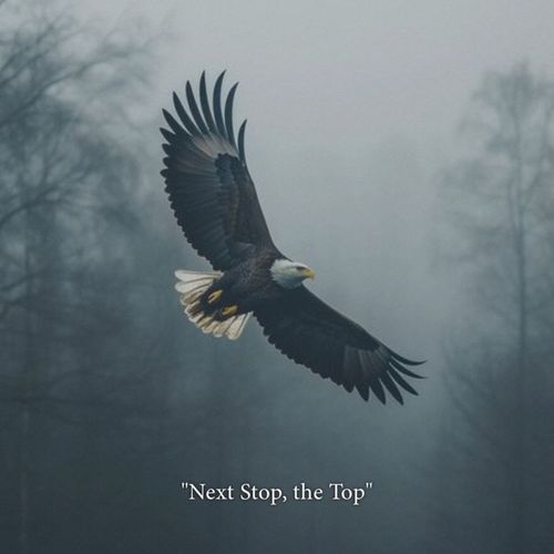 Next Stop, The Top