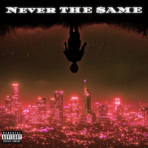 NEVER THE $AME