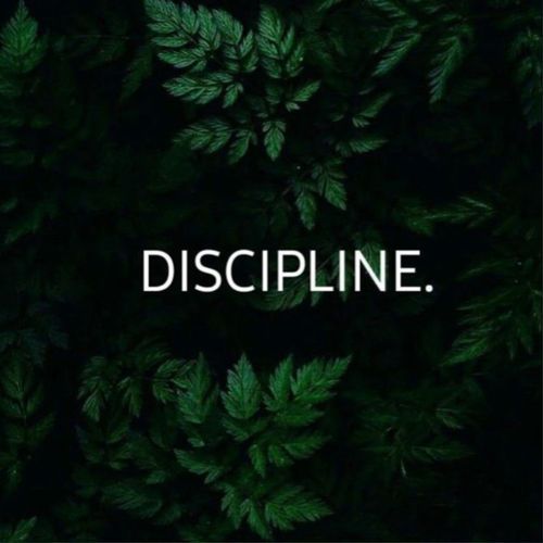 Discipline