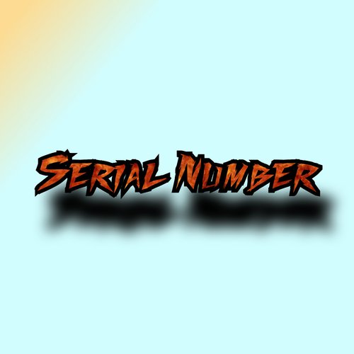 Serial Number