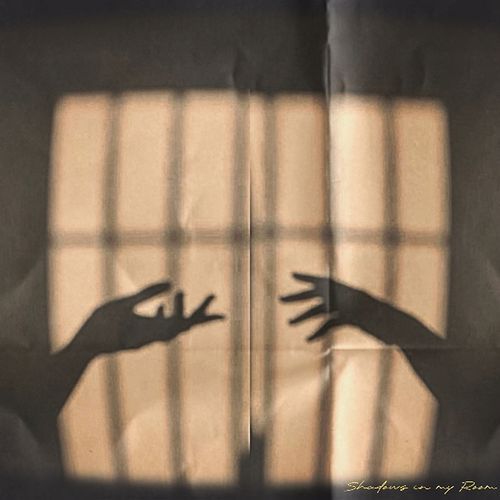 Shadows in My Room