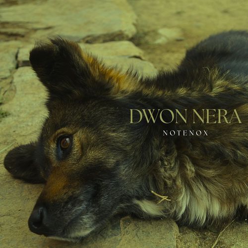 Dwon Nera