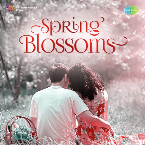 Spring Blossoms