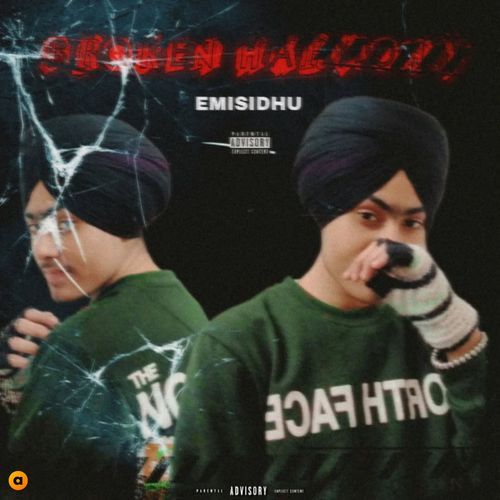 BROKEN HARMONY LP