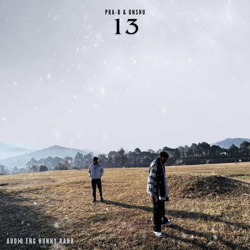 13