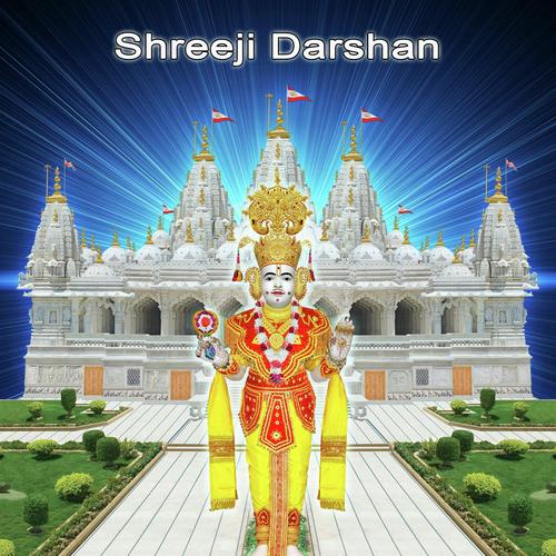 Shreeji Darshan