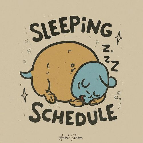 Sleeping Schedule